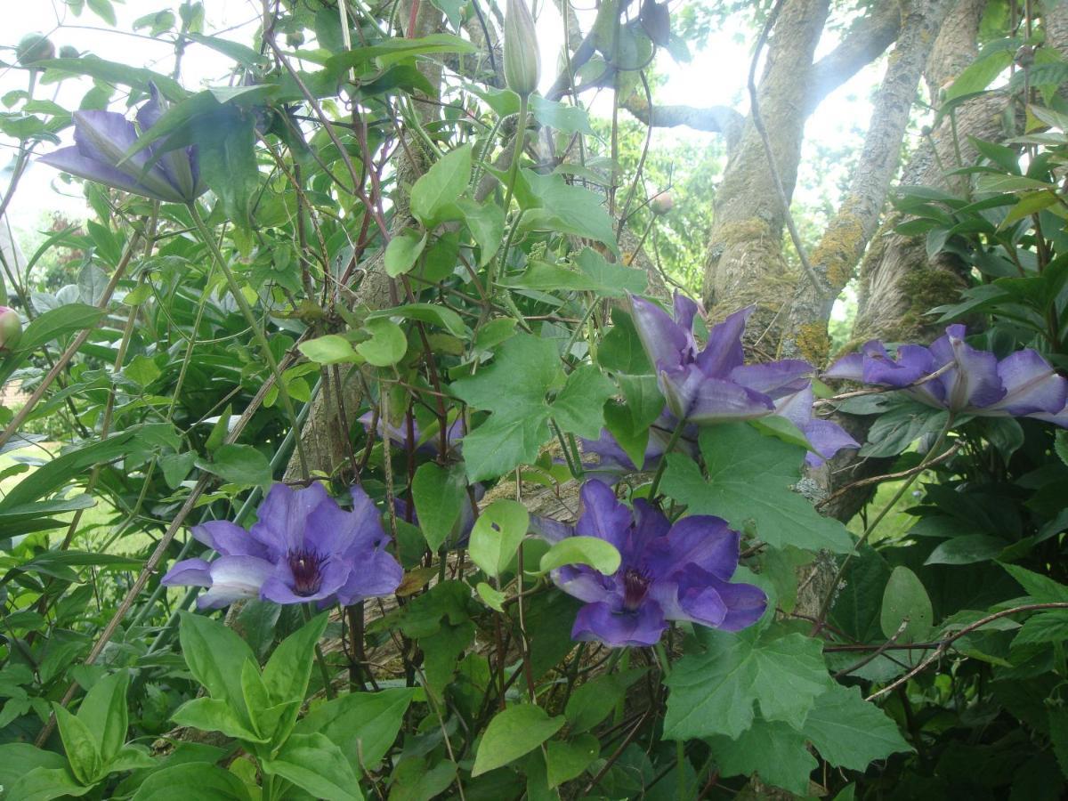 הוילה Nibas Les Coquelicots מראה חיצוני תמונה