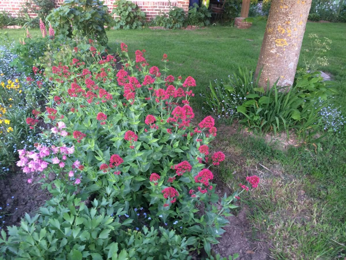 הוילה Nibas Les Coquelicots מראה חיצוני תמונה