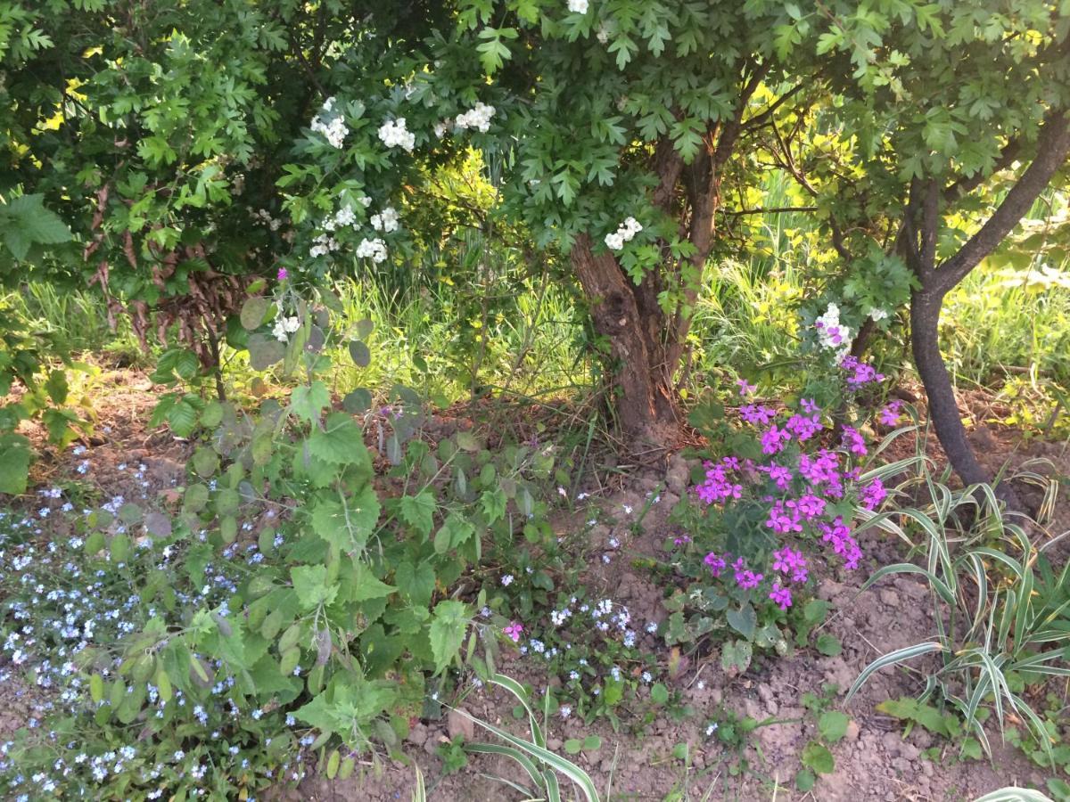 הוילה Nibas Les Coquelicots מראה חיצוני תמונה
